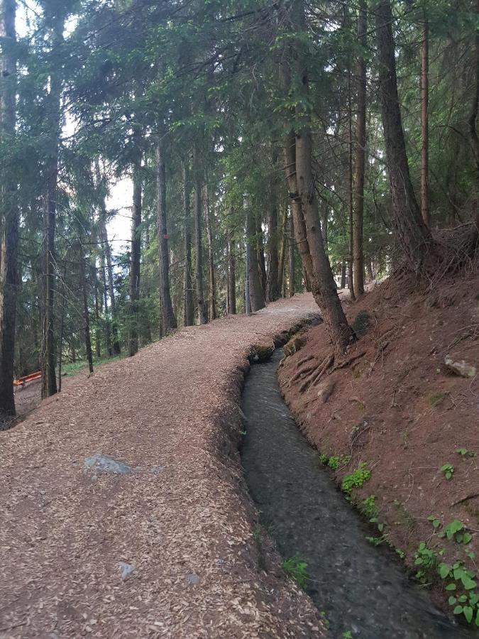 Studios Bellevue 1 Et 2, Ski Lift 150M Veysonnaz Bagian luar foto